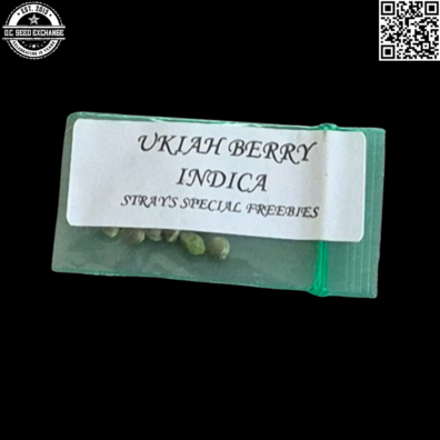 Strayfox Gardenz Ukiah Berry Indica 10 Regular Seeds