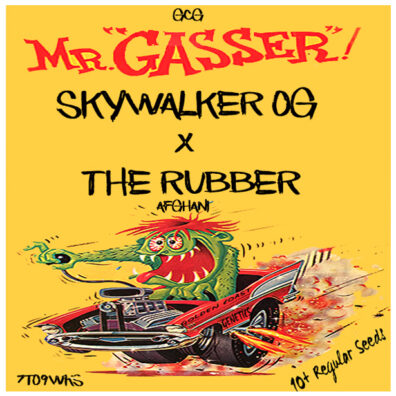 The Gasser (Skywalker OG x Rubber Afghani) 10 Regular Seeds