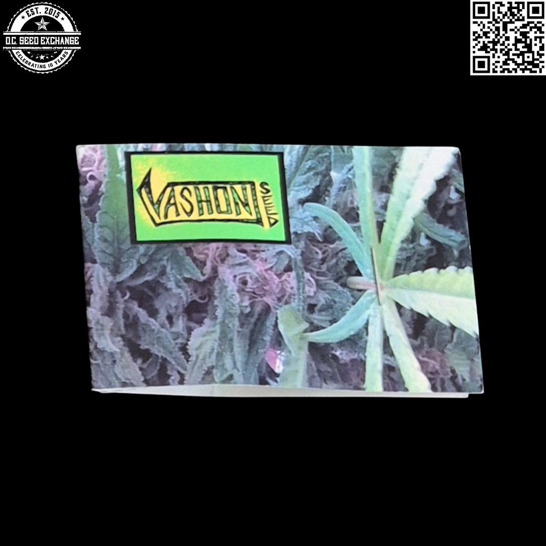 Vashon Seeds Eki Bird Front3 IG