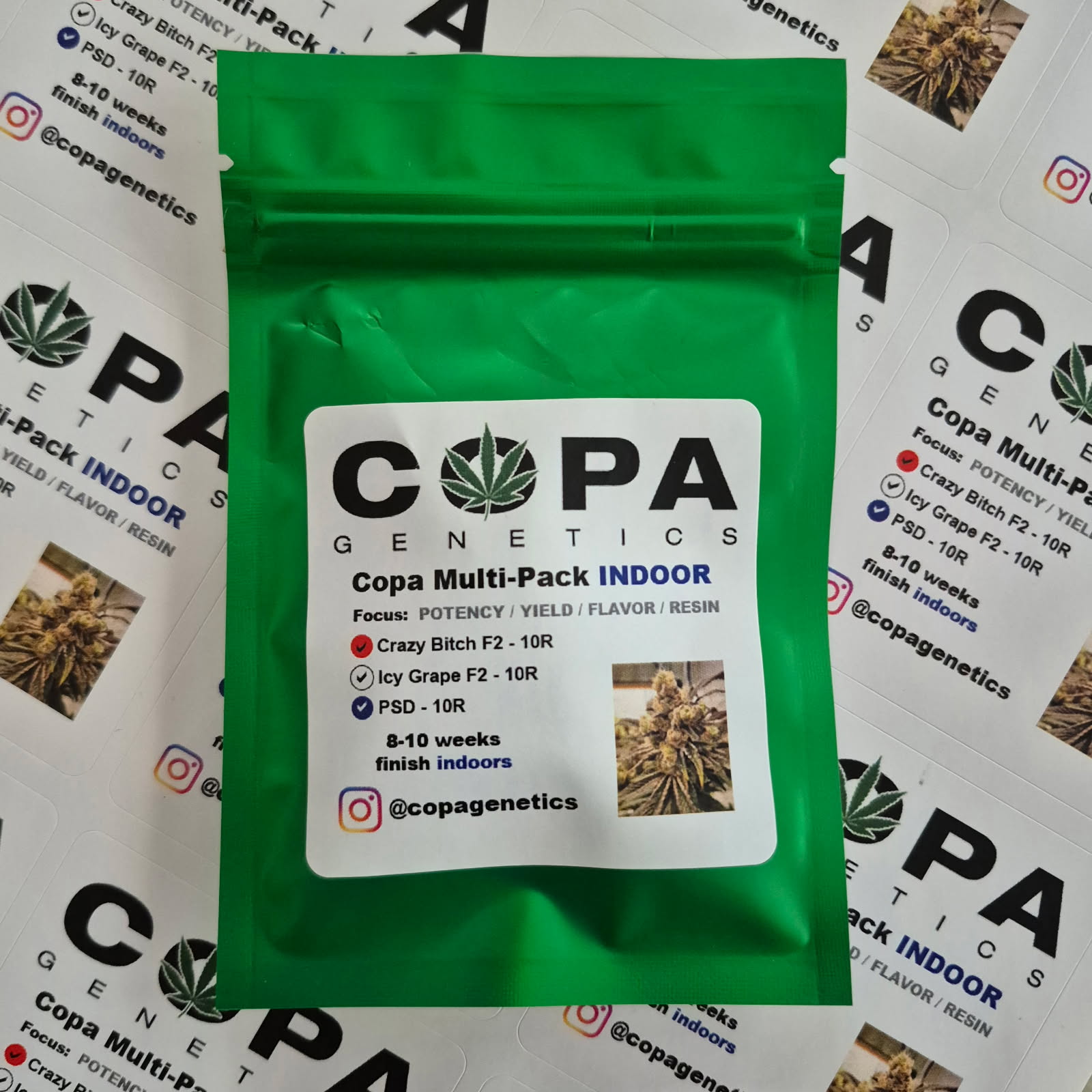 Copa INDOOR Multi-Pack (Crazy Bitch F2, Icy Grape F2 and PSD F1) 30 Regular Seeds