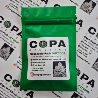 Copa October OUTDOOR Multi-Pack (Heaven Mountain Remix x High Voltage, Wig Splitter F1, and Grape Gold F1) 30 Regular Seeds