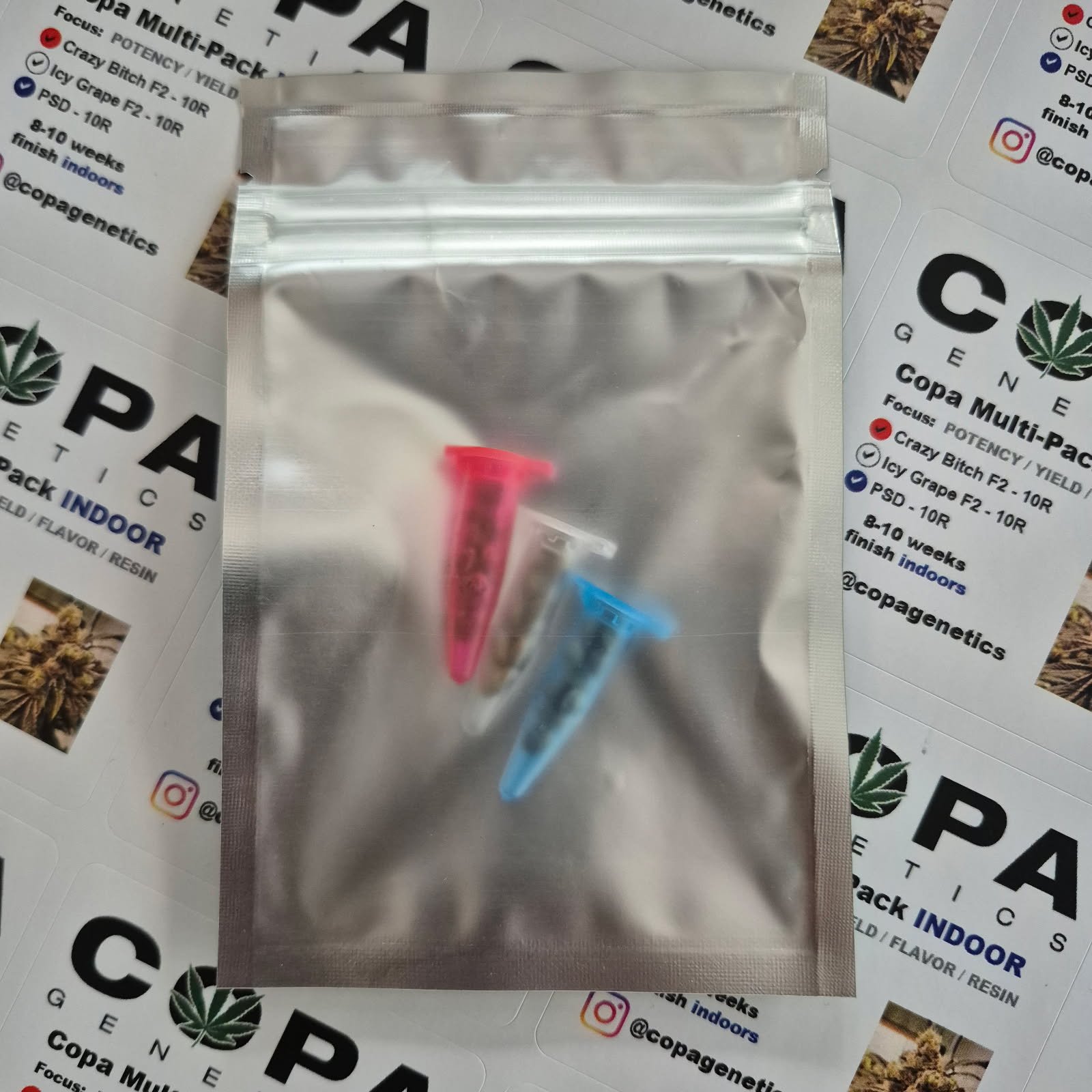 Copa INDOOR Multi-Pack (Crazy Bitch F2, Icy Grape F2 and PSD F1) 30 Regular Seeds - Image 2