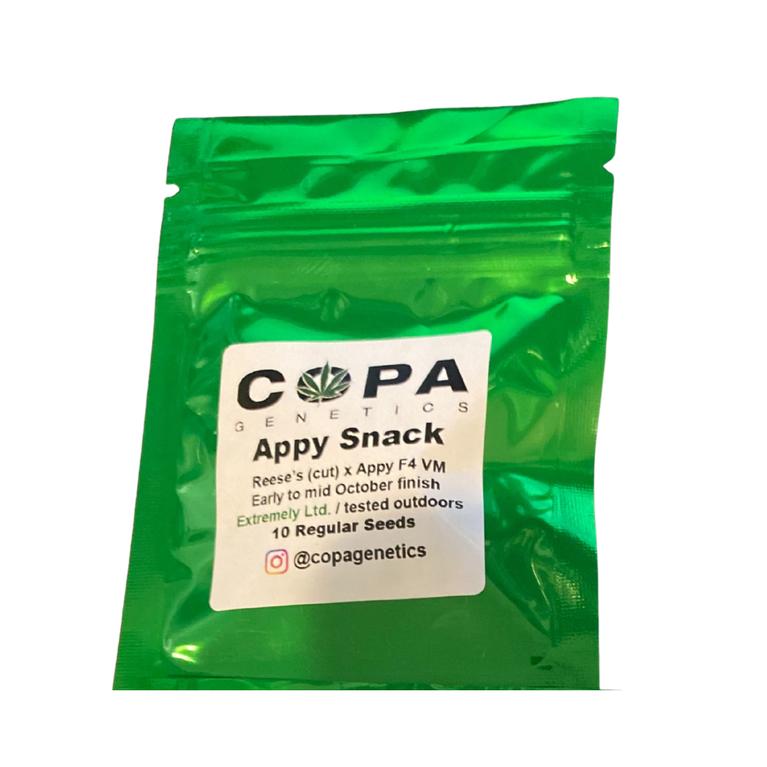 Appy Snack Pack White