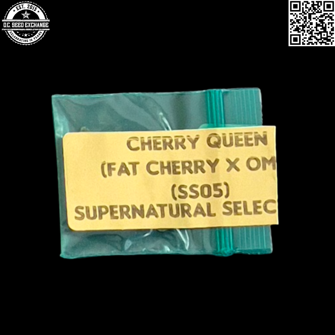 Bodhi Seeds Cherry Queen Front IG