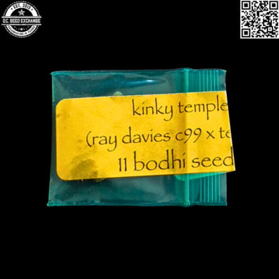 Bodhi Seeds Kinky Temple Front IG