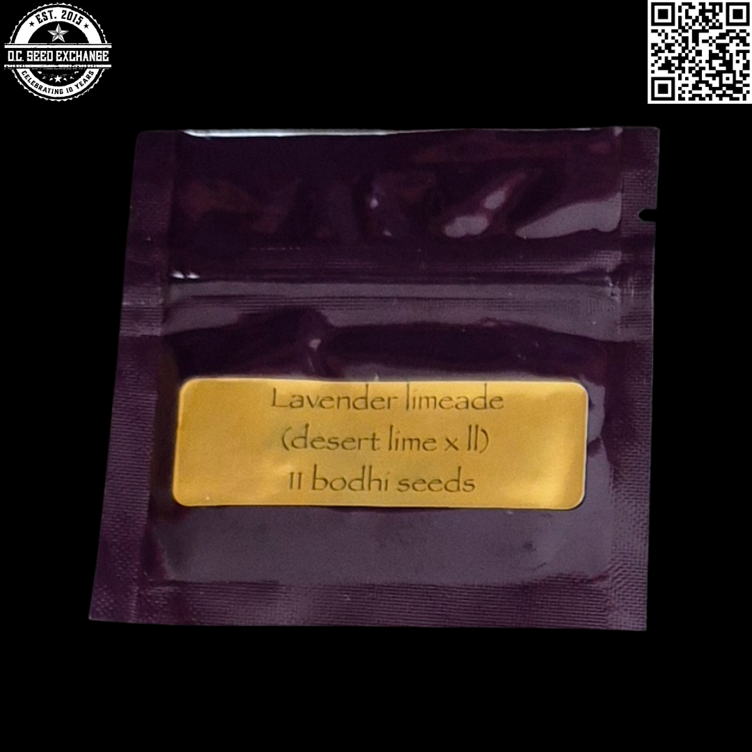 Bodhi Seeds Lavender Limeade Front IG