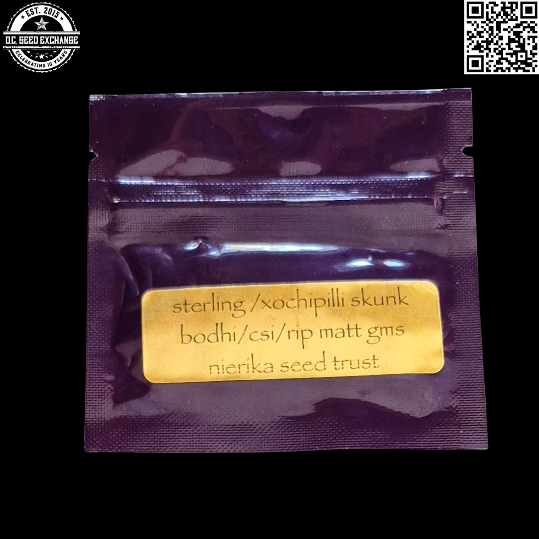 Bodhi Seeds Nierika Seed Trust Sterling/Xochipilli Skunk 11 Regular Seeds