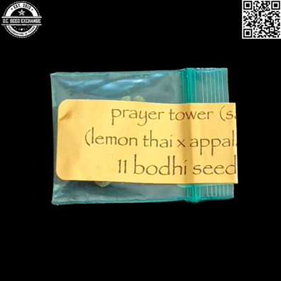 Bodhi Seeds Prayer Tower (Sativa) Front IG