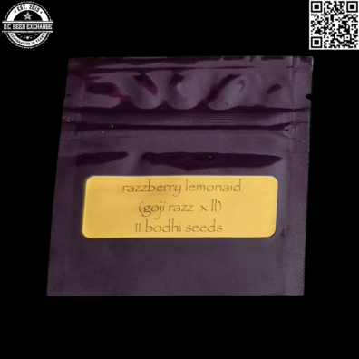 Bodhi Seeds Razzberry Lemonaid Front IG
