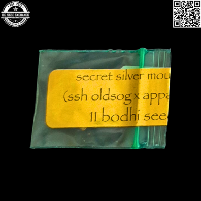 Bodhi Seeds Secret Silver Mountain Front IG