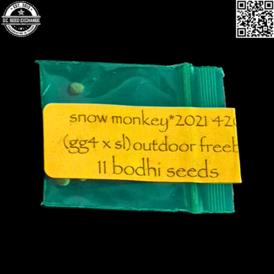 Bodhi Seeds Snow Monkey Front2 IG