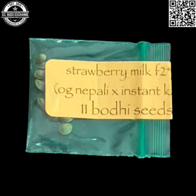 Bodhi Seeds Strawberry Milk F2 Front3 IG
