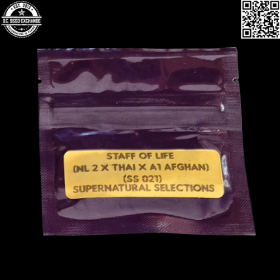 Bodhi Seeds Supernatural Selections 021 Staff of Life Front IG