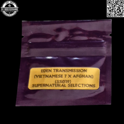 Bodhi Seeds Supernatural Selections Eden Transmission Front IG
