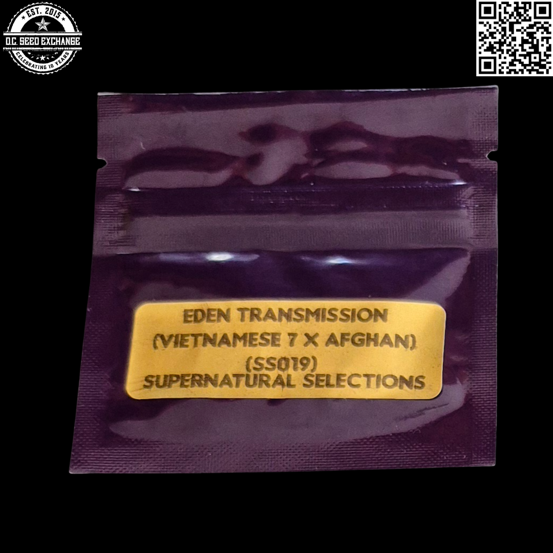 Bodhi Seeds Supernatural Selections 019 Eden Transmission (Vietnamese x Afghan) 11 Regular Seeds