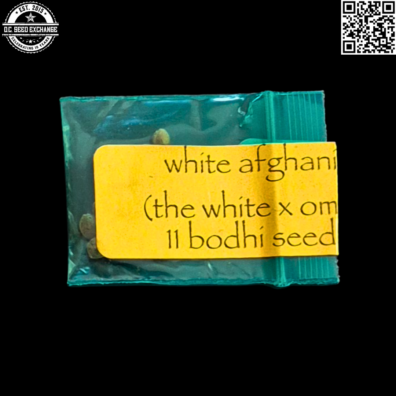 Bodhi Seeds White Afghani Front IG