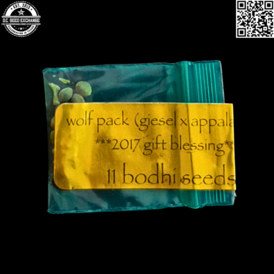 Bodhi Seeds Wolf Pack Front2 IG