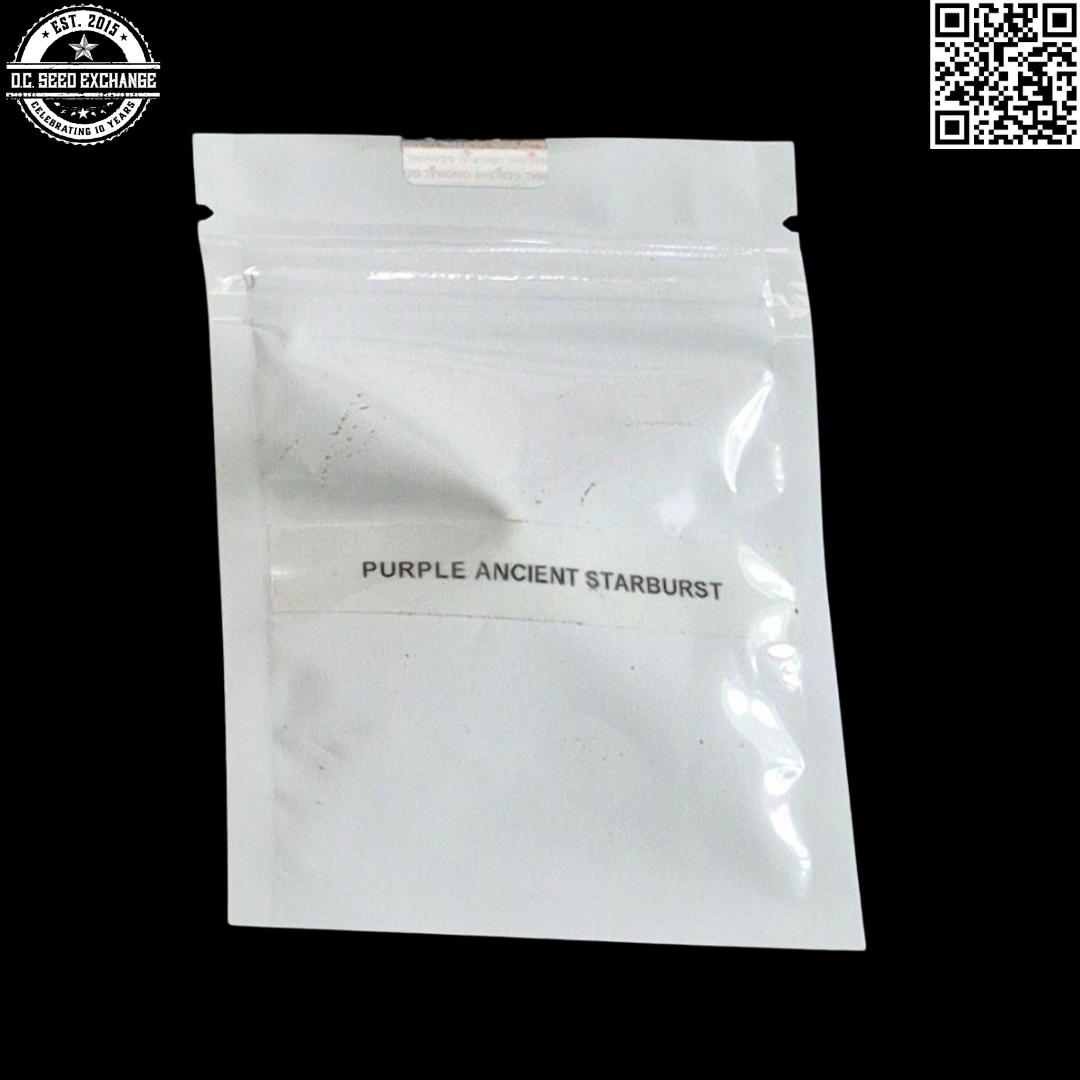 El Mexicano Genetics Purple Ancient Starburst Back IG
