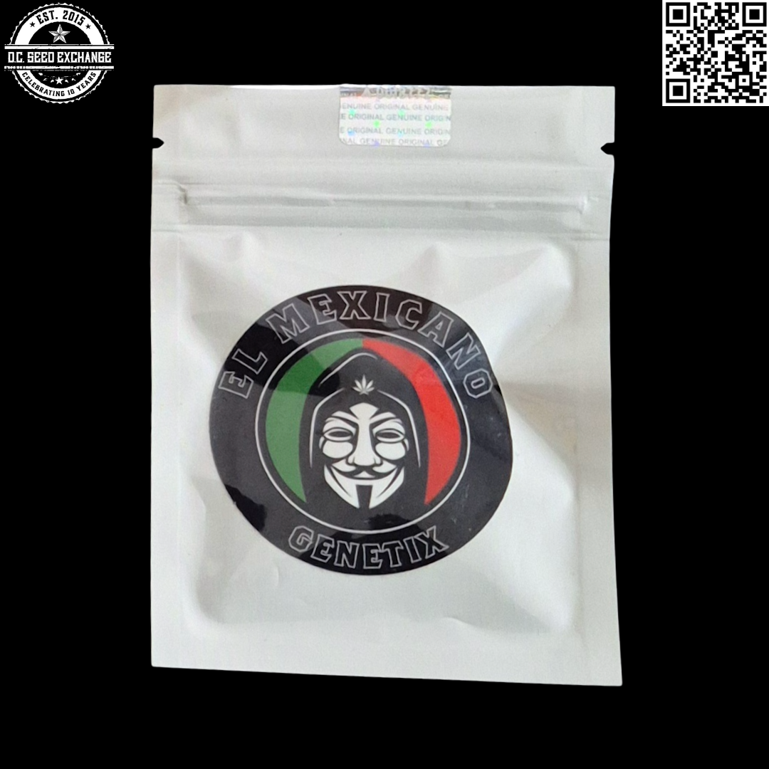 El Mexicano Genetics Purple Ancient Starburst Front IG