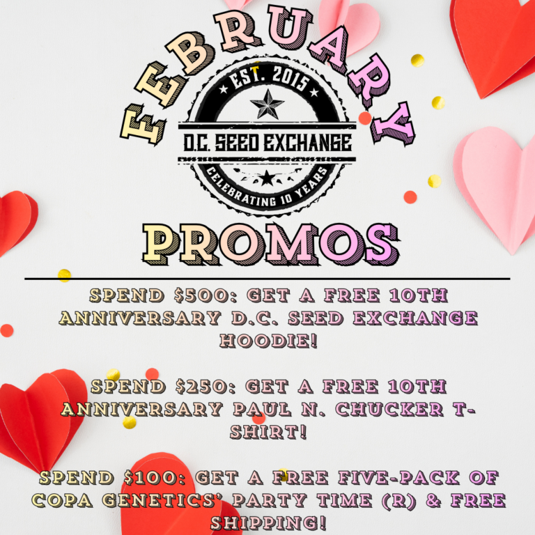 February 2026 Promos