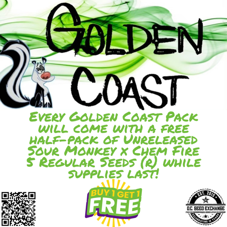 Golden Coast Fire Pie BOGO Sour Monkey