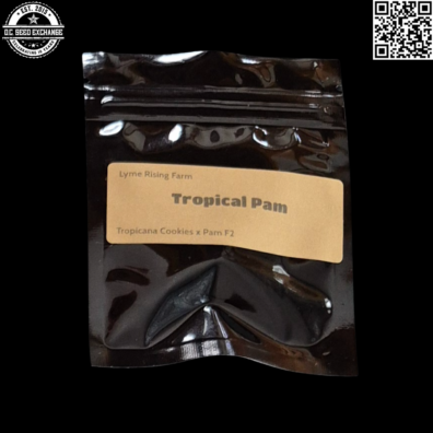Lyme Rising Farm Tropical Pam Front IG
