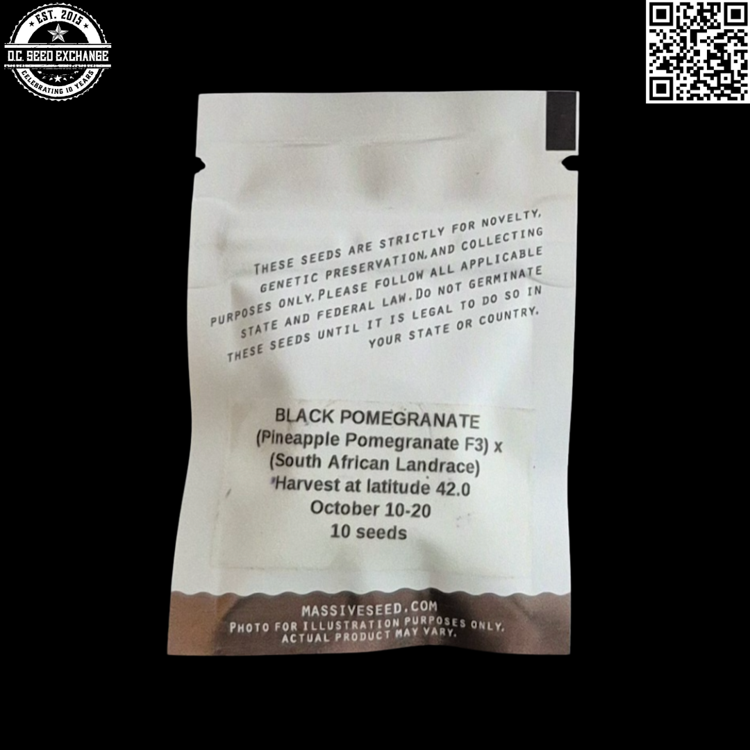 Massive Seeds Black Pomegranate Back IG