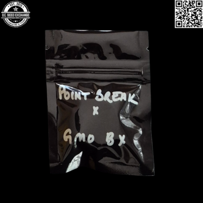 Seed No Evil Point Break x GMO BX Back IG