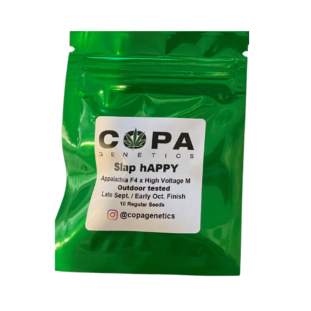 Slap aAPPY Pack white