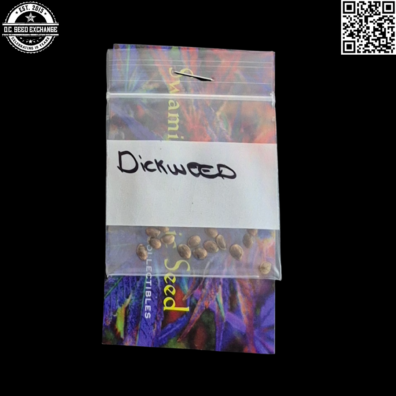 Swami Organic Seeds Dickweed Front IG