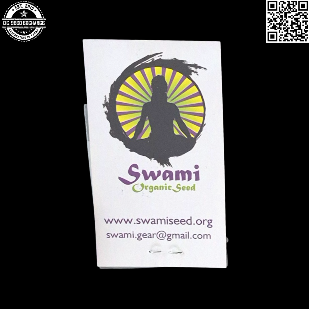 Swami Organic Seeds The One Panama x Pakistan Chocolate Thai Back IG