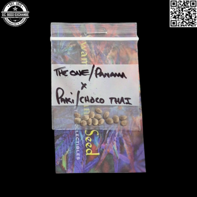 Swami Organic Seeds The One Panama x Pakistan Chocolate Thai Front IG