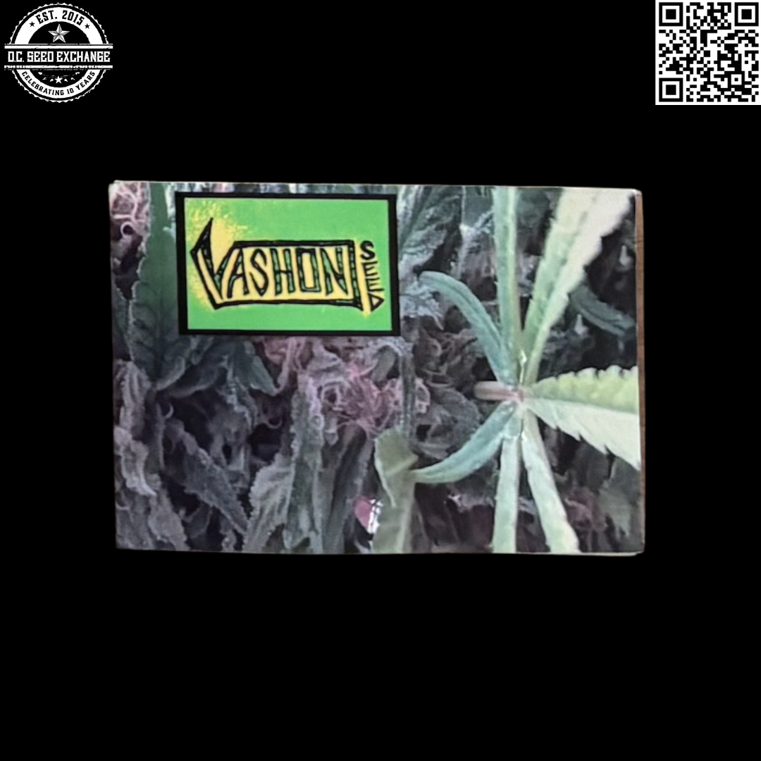 Vashon Seeds Durban Kush Back IG