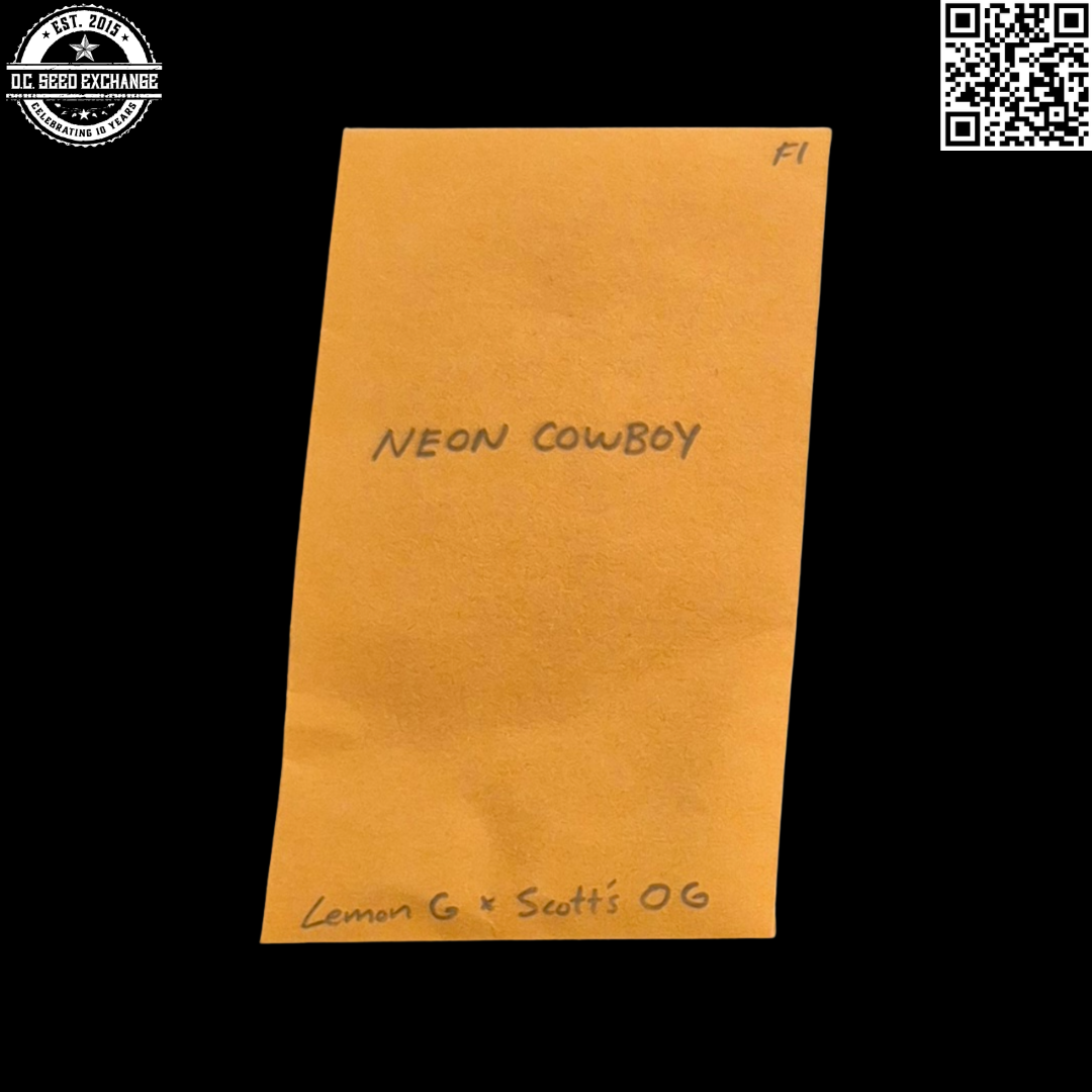 Vernal Neon Cowboy F1 Front IG