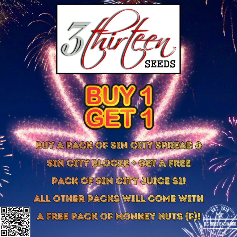 3Thirteen Seeds Promo IG v2