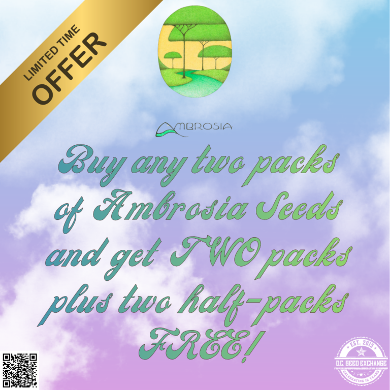 Ambrosia Promo B2G2