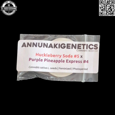 Annunaki Genetics HS5 x PPE4 Front IG