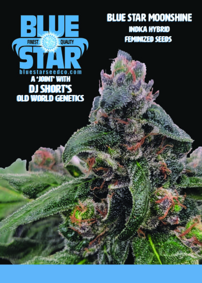BLUE STAR MOONSHINE 2