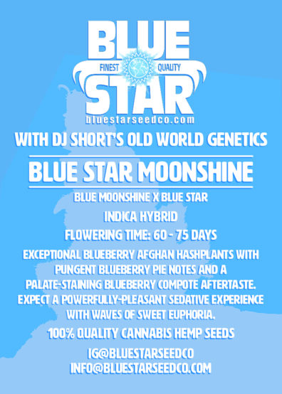 BLUE STAR MOONSHINE 3