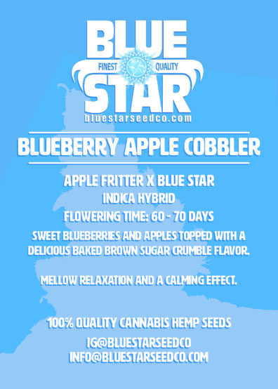 BLUEBERRY APPLE COBBLER 4