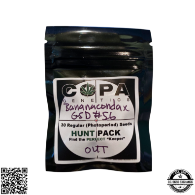 Bananaconda x GSD #56 IG