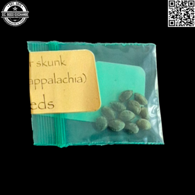 Bodhi Seeds Appalachian Super Skunk Back4 IG