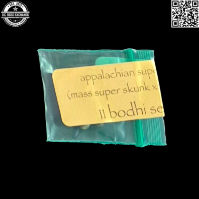 Bodhi Seeds Appalachian Super Skunk Front4 IG