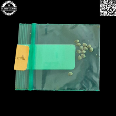 Bodhi Seeds Banana Milk Back IG