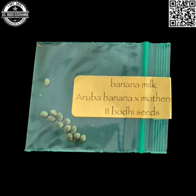 Bodhi Seeds Banana Milk Front IG