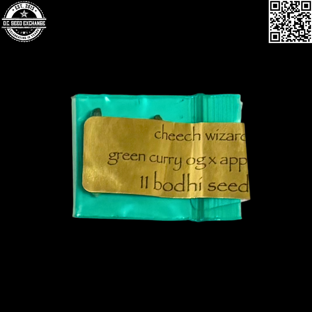 Bodhi Seeds Cheech Wizard Front IG