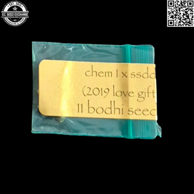 Bodhi Seeds Chem 1 x SSDD Front2 IG