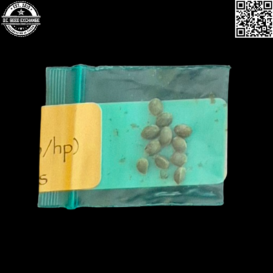 Bodhi Seeds Chem Kesey Back IG