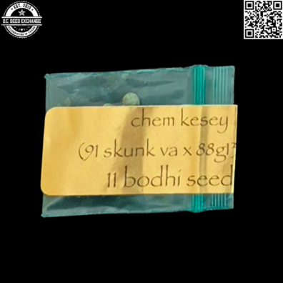 Bodhi Seeds Chem Kesey Front IG