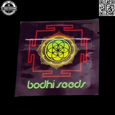 Bodhi Seeds Deep Line Alchemy 5.3 Artifact 1 F4 Back IG